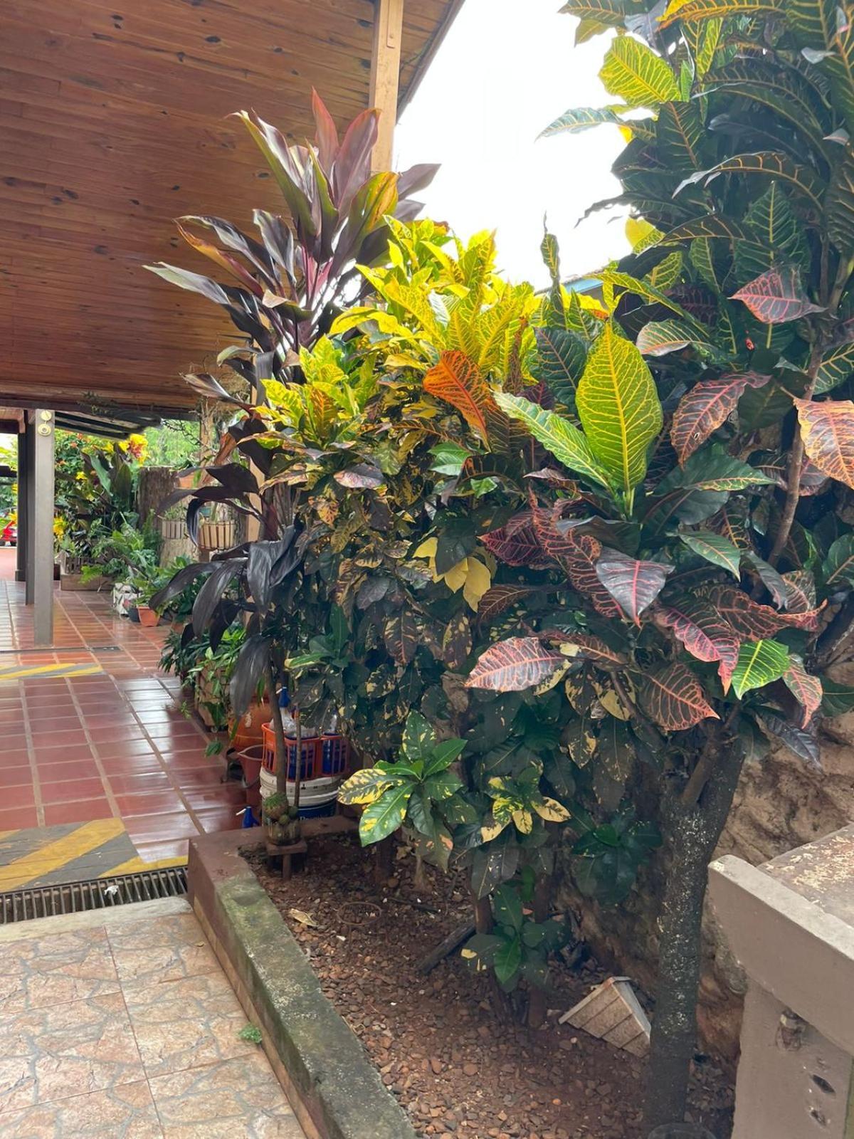 Hotel Residencial Arcoiris Puerto Iguazú Exteriér fotografie
